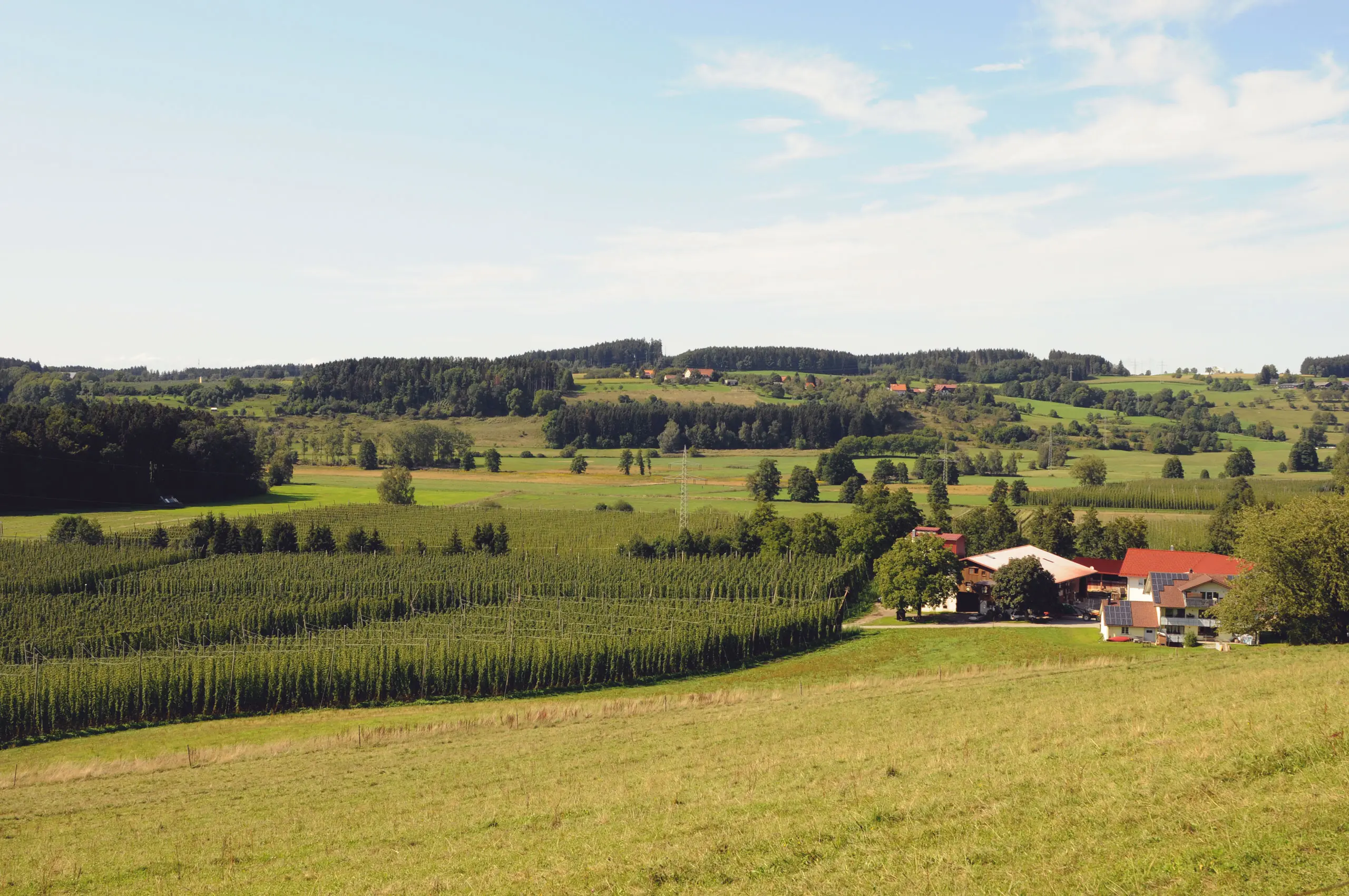 Unser Hof inmitten unserer Hopfengärten